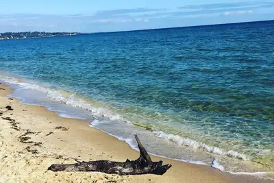 Image de Beachside hidden gem.