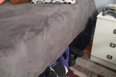 Image de Hidden dreams