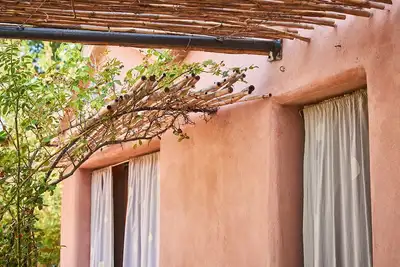 Image de Magnifique appartement dans le jardin - écologique entre vignoble et oliveraie