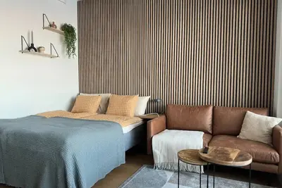 Ripaus luxusta, Moderni yksiö