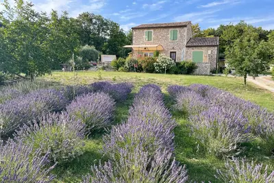 Image de la Maison de Joséphine, vue ventoux, piscine