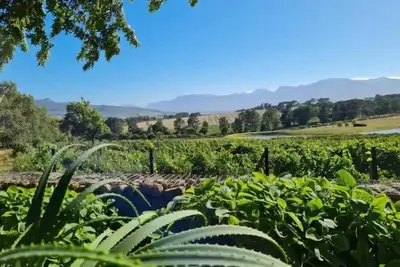 Image de Self catering accomadation in the winelands. Mon Rêve Estate - Cottage 3