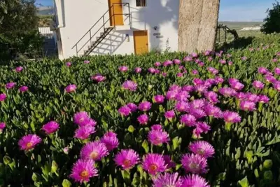Image de La Casita de Casa Olivar