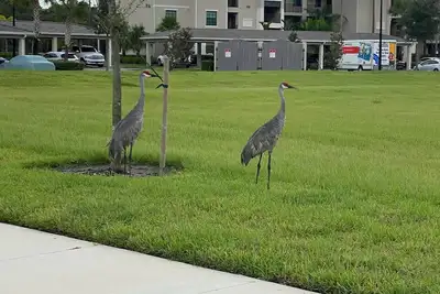 Image de Golfers Dream