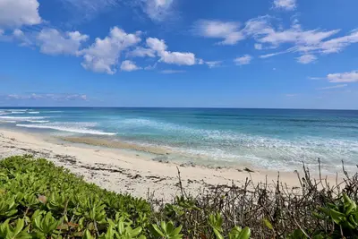 Image de Conch Quest - Right On The Beach And Beautiful Atlantic Ocean