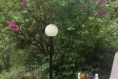 Image de Le Petit Brit