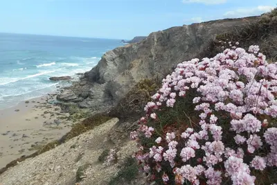 Image de Fantastic position, within a stone's throw of the beach.