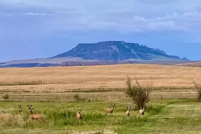 Image de Stay Rural