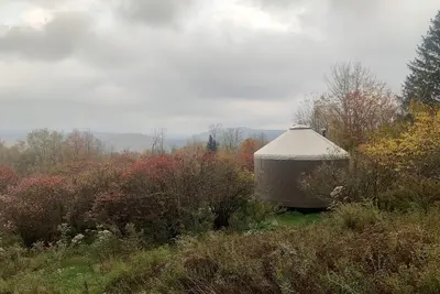 Image de off-the-grid tiny house cabin And yurt in Livingston Manor, Ny