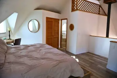 Image de Eccentric Brown Bear Dome\n