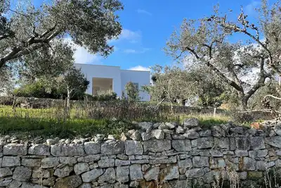 Image de Villa on an elevated terraced olive grove with views over the Valley of Itria.