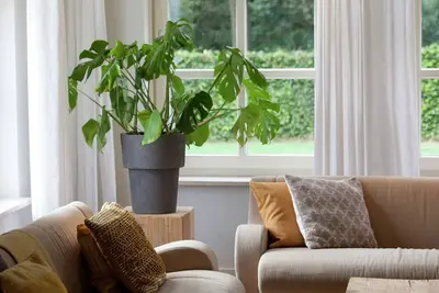 Image de Maison de vacances de charme à Heeze-Leende près de la forêt