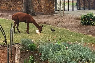 Image de Home on Home