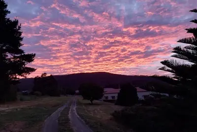 Image de Watch the sunrise and set over the bay. \nPeaceful, central & dog friendly.