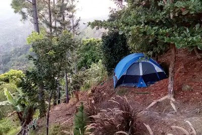 Image de Cosy and secluded 6-Person Tent - Camping Blue Mountain Wilderness Retreat