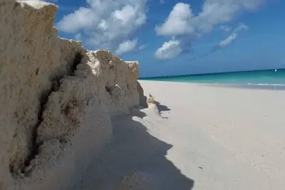 Image de Luxury Eagle Beach Apart Ground Floor with Direct Pool Access one step Beach