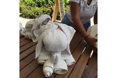 Image de Vidanta Acalpulco #2\n