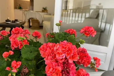 Image de Coral 14 - appartement au centre du Llafranc-Costa Brava