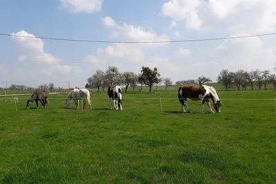 Image de Gezellig Comfortabel Vakantieverblijf, Rustige Omgeving én Huisdiervriendelijk