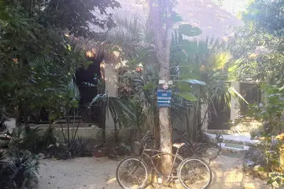 Image de Jungle house. in Mcario Gomez 19 km outside of Tulum.