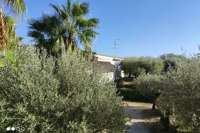 Image de Villa with veranda overlooking the sea Capo Vaticano Holiday homes The Cape Cliff