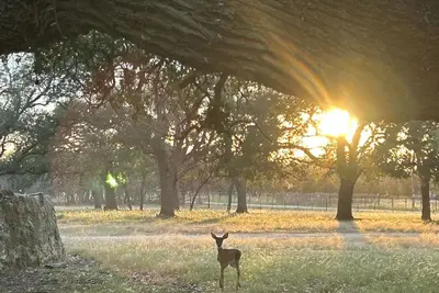 Image de Self-Contained Rv-ing Property