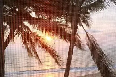 Image de Studio Sunset - Vue sur Mer/Pied dans l'eau