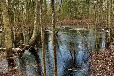 Secluded glamping, Ac, full bath, 7 minutes to beaches, Jacuzzi, pet-friendly