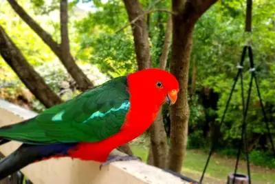 Image de Idyllwylde. Pet-friendly. Cosy. Close to town & river.