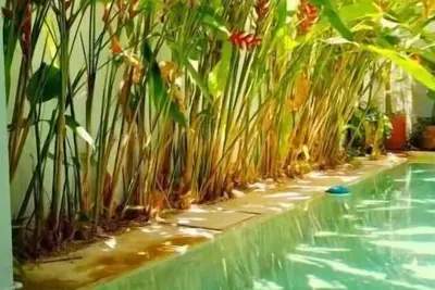 Image de Relaxing, luxury home in the center of Mérida!