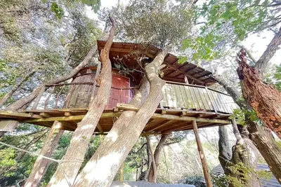 Image de Tree House / Isumi County Chiba