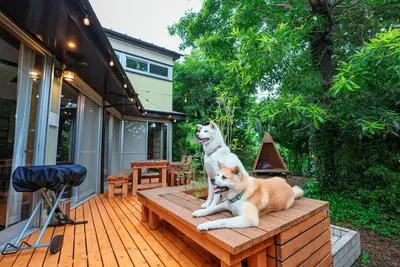 Image de Pet friendly designers house / Ito Shizuoka