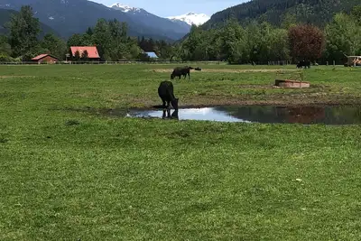 Image de Rainbow House Private Annex: Charming comfort at North Cascades National Park!