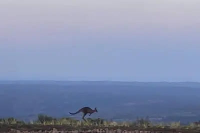 Image de Stay on the escarpment, rural retreat, forest bathe, stargaze, amazing views