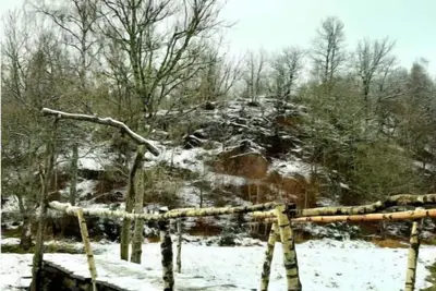 Image de La maison sous les arbres.
