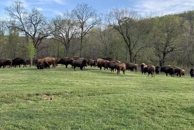 Image de The lodge at the 4300 acre Hunt Mill Hollow Ranch is a wildlife destination.