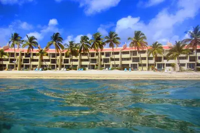 Image de Fan-Sea This at Sugar Beach