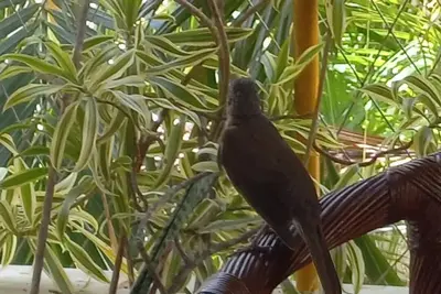 Image de Village Departamento Independente