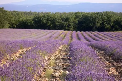 Image de 2 Bedroom Private vacation home in Saignon