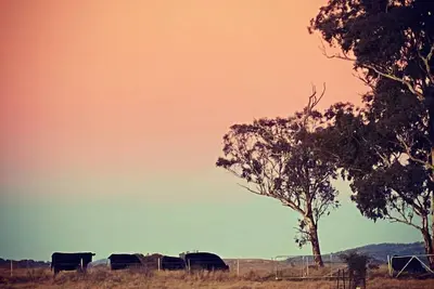 Image de Farm Stay near Bathurst with a Magical View