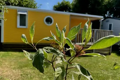 Image de Location Mobil Home 2 ch 4 Personnes. La Touesse à Dinard, Plage à 300 Mètres