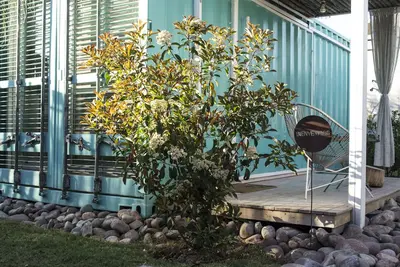 Image de Refugio Padma Refugio Eco-chick, Cálido y Bohemio en Chacras de Coria, Mendoza
