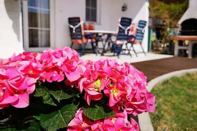 Image de Ferienappartement Elsasser in St. Margarethen im Burgenland am Neusiedlersee