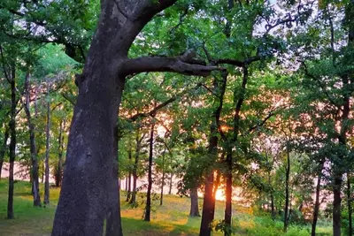 Image de Lakeside Retreat Summ