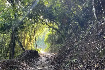 Image de Two mountain villas Near Dominical Beach Costa Rica.