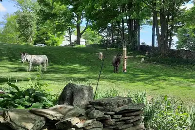 Image de Foxglove Cottage - A Country Retreat