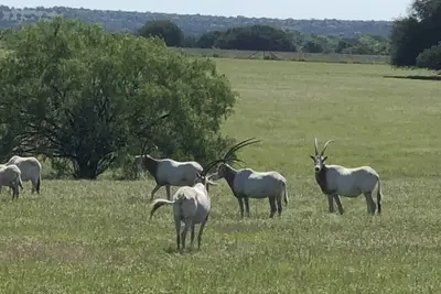 Image de Small Group Retreat Sleeps up to 12