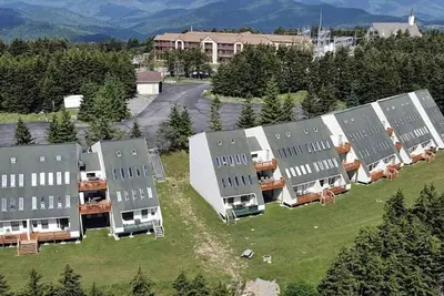 Image de Hare of the Dog - 3 Br - Sleeps 10 - Ground Level Walk Out