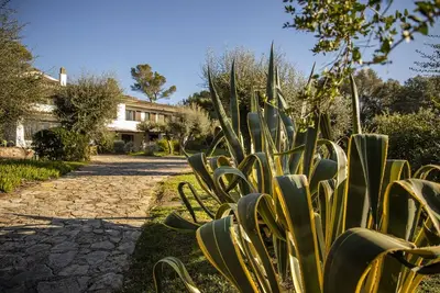 Image de Villa Cosa - Ansedonia, Tuscany