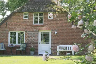 Image de Thatchdachkate Sillenserwisch